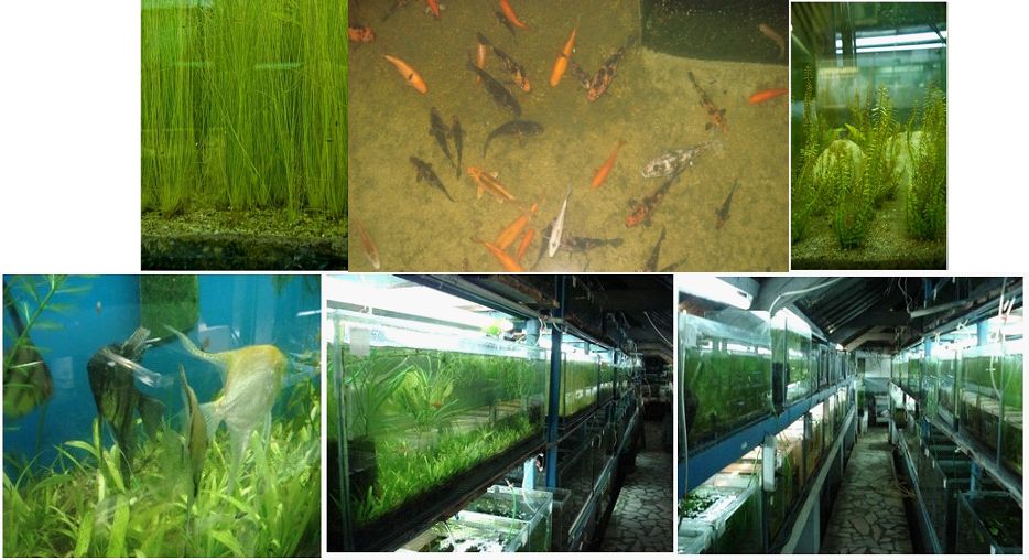 Aspecte din interior Fluvarium