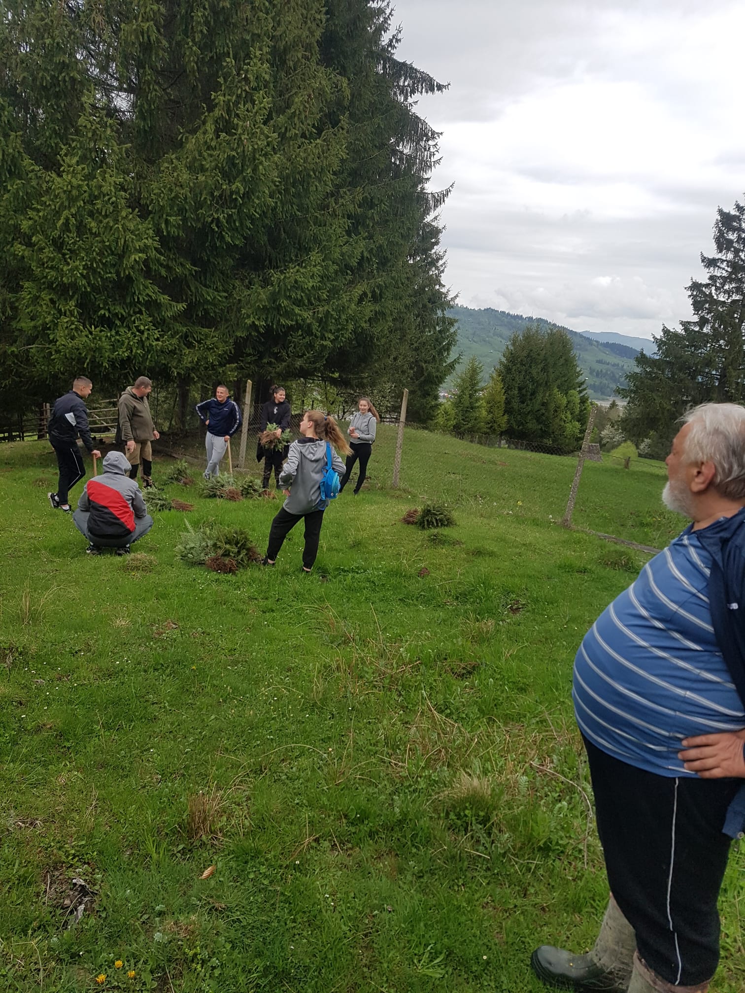 Împreună pentru pădure